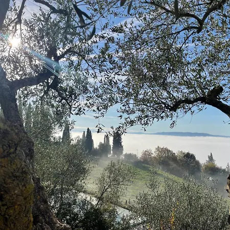 Art And Garden Monte Antico